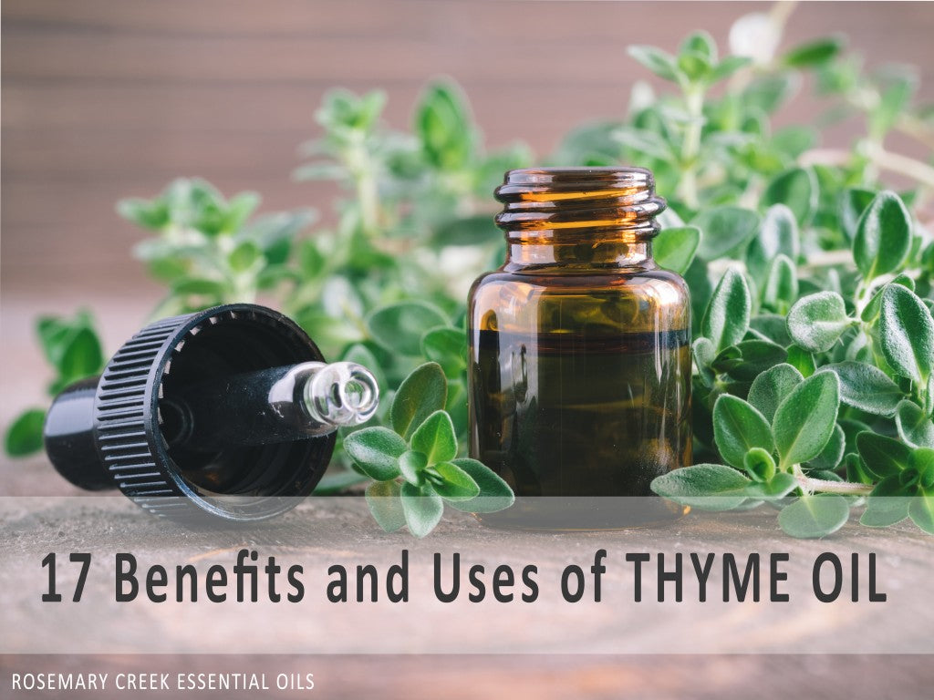 17 Benefits and Uses of Thyme Essential Oil