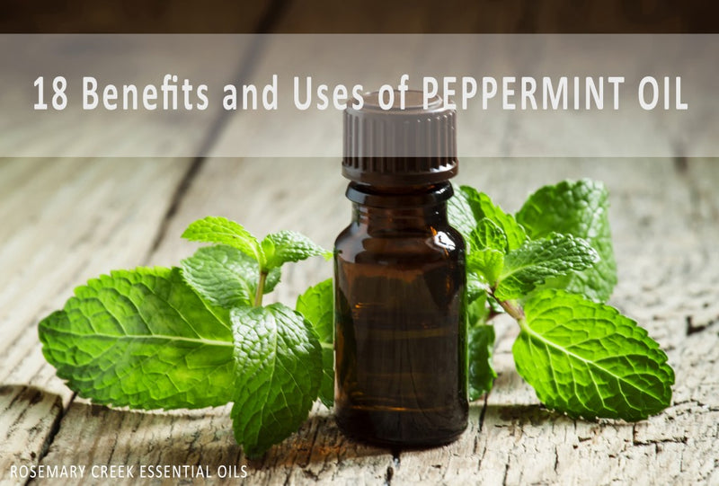 18 Benefits and Uses of Peppermint Essential Oil