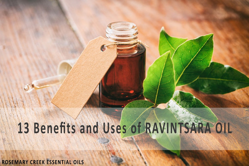 13 Benefits and Uses of Ravintsara Essential Oil