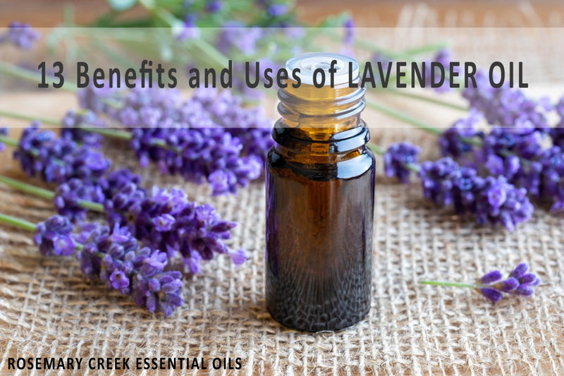 13 Benefits and Uses of Lavender Essential Oil