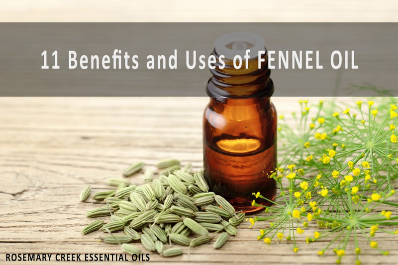 11 Benefits and Uses of Fennel Essential Oil