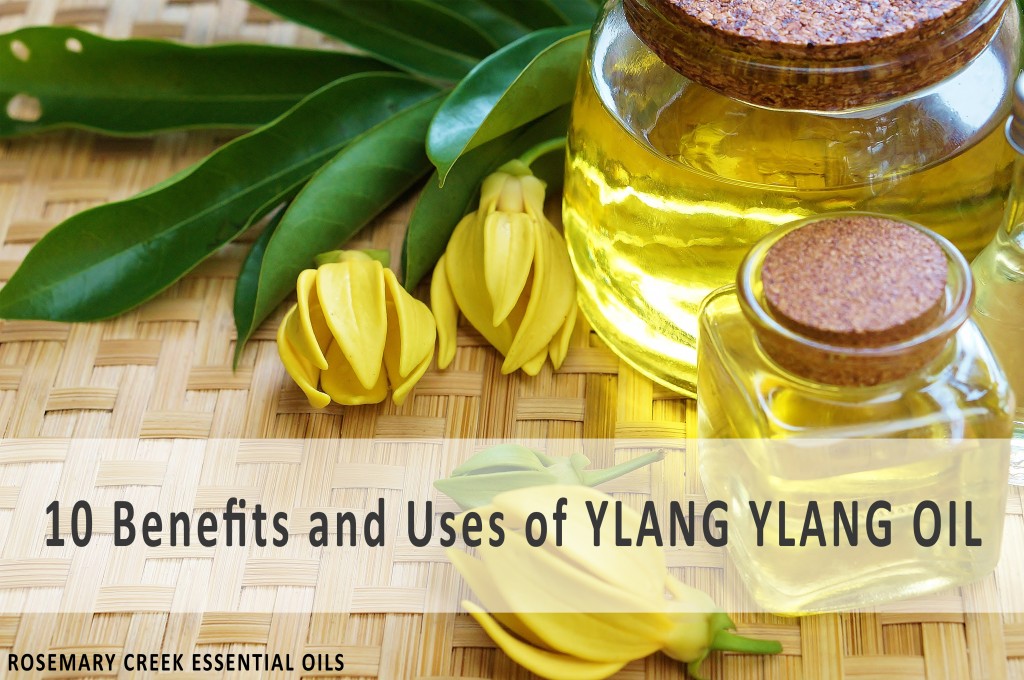 10 Benefits and Uses of Ylang Ylang Essential Oil