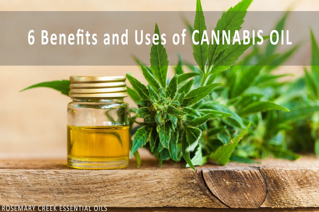 6 Phenomenal Benefits and Uses of Cannabis Essential Oil