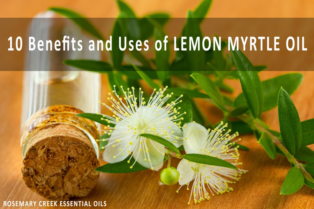 10 Amazing Benefits and Uses of Lemon Myrtle Essential Oil