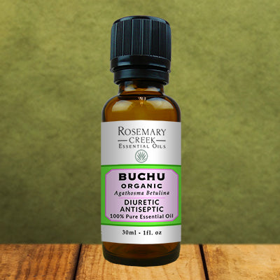 Organic Buchu essential oil