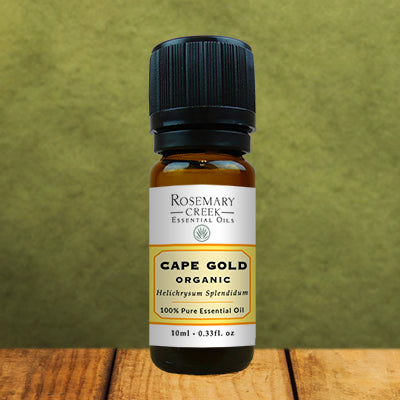 Organic Helichrysum Splendidum essential oil - Cape Gold
