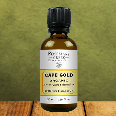 Organic Helichrysum Splendidum essential oil - Cape Gold